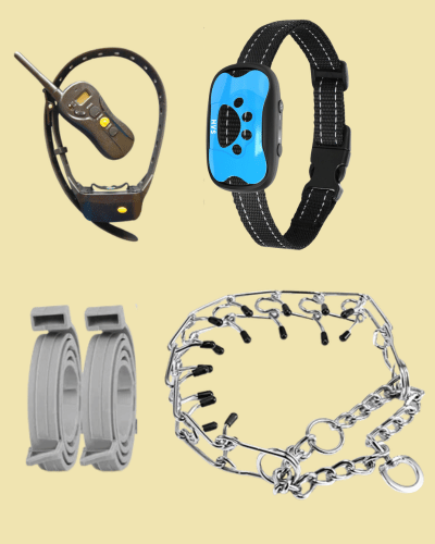 Alternatives To Shock Collars For Dog Trainers