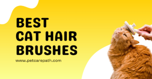 Best Cat Hair Brush