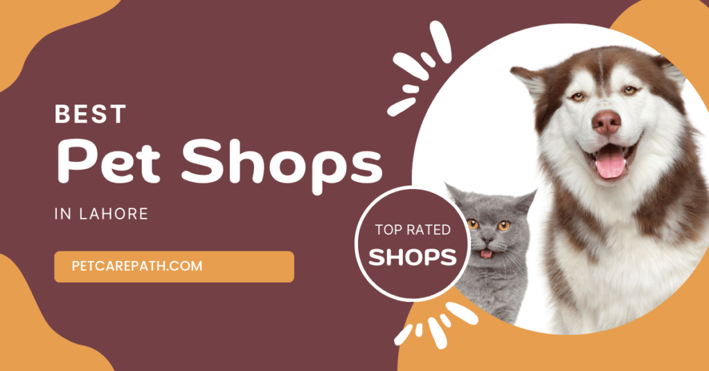 Best Pet Shops in Lahore