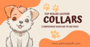 best rolled leather dog collars